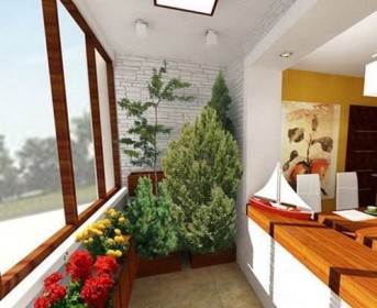 Вечнозеленые растения для обустройства балконного помещения